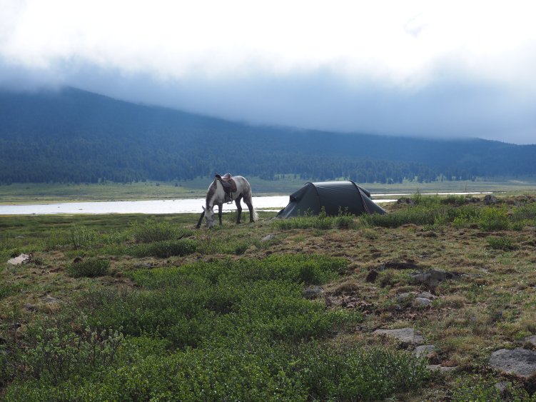 My riding horse and tent pictured by the lake.